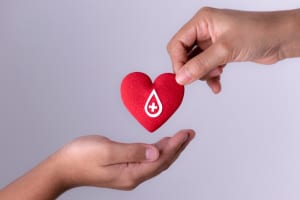 プラセンタ療法を受けると献血ができなくなる？